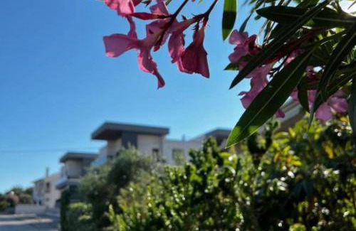 Krk Apartment | LuxArt City Spa Gallery Residence Krk