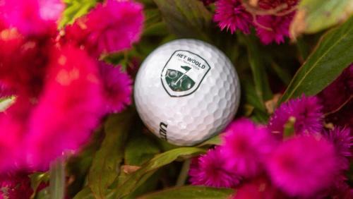 Heusden Gem Asten Other | Luxe Glamping Met eigen badkamer voor 5 Personen Bashful