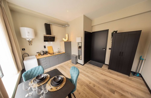 Stadsdriehoek Apartment | Luxe Loft Binnenrotte BR