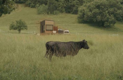 Mullumbimby House | Luxe nature escape - outdoor bath - Byronshire