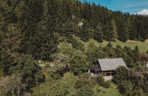 Sankt Stefan ob Leoben Ski Chalet | LUXGUT Olivia