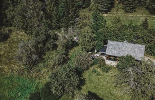 Sankt Stefan ob Leoben Ski Chalet | LUXGUT Olivia