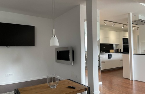 Bad Alexandersbad Apartment | Luxurious vacation apartment (55 m²) with south-facing balcony and bio-ethanol wall fireplace