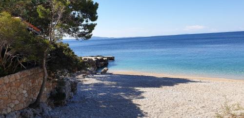 Ivan Dolac Apartment | Luxury beach