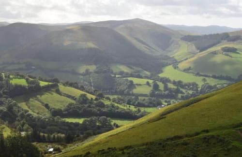 Llanbrynmair Ski Chalet | Luxury Lodge In The Treetops