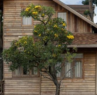 Wang Katha House | Luxury Treehouse Khaoyai