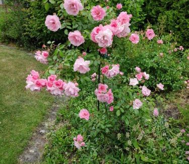 Germete Apartment | Luxus Wohnung auf Zeit