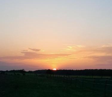 Schoeneberg b. Angermuende Other | Luxuszelt in der Pferdeherde