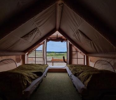 Schoeneberg b. Angermuende Other | Luxuszelt in der Pferdeherde