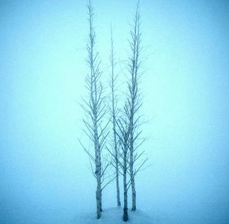 Laragh Hotel | Lynhams Hotel