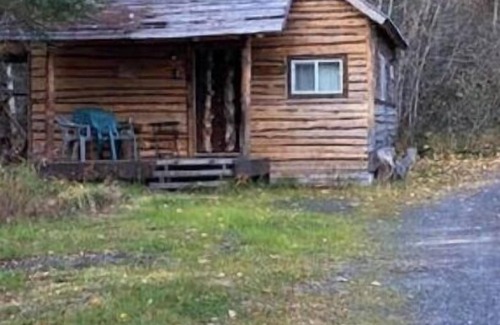 Moose Pass Cabin | Lynx, wildlife, custom log cabin . private lake access, salmon stream kayaking,