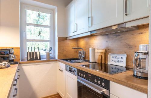 Wyk auf Foehr Apartment | Möwennest - a72752