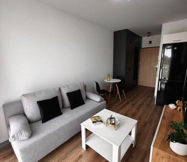 Busko-Zdroj Apartment | Młyńska Harmony