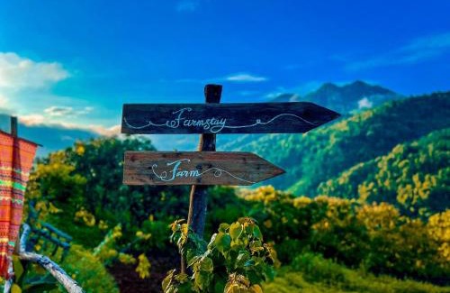 Moc Chau House | Mường Sang Farmstay