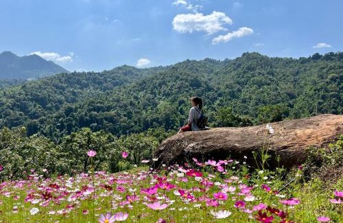Moc Chau House | Mường sang farmstay