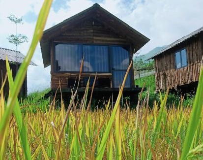 Sa Pa Cabin | Mẩy Lơ Homestay