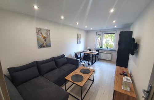 Debica Apartment | M&K Center Apartment