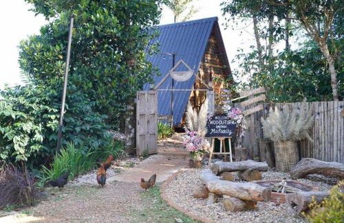 Chiang Rai House | Ma Family Coffee Farm ไร่กาแฟครอบครัวมะ