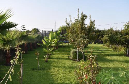 Ameur Seflia Villa | O Citron Villa