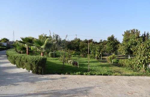 Ameur Seflia Villa | O Citron Villa