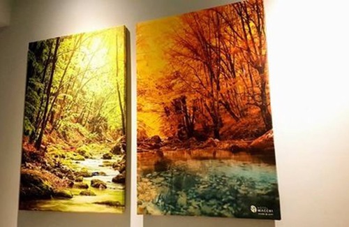 Wenshan Hotel | Macchi Hotel