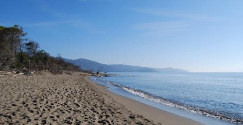 Rispescia Hotel | Maestrale Resort Hotel - Grosseto