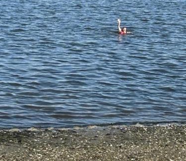 Warwick Apartment | Magical Midgely