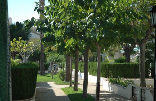 Torre de la Horadada House | MAGNIFICENT 3 BR. DUPLEX.