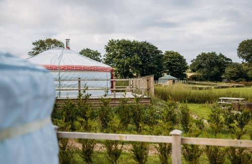 Newquay Cabin | Magnolia Dog - A luxury couples+ Yurt on a stunning historic estate near Newquay. Dog friendly