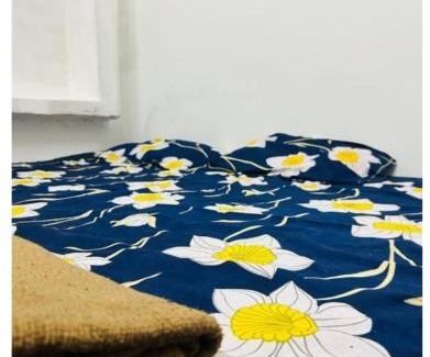 Jhusi House | Mahi Home Stay