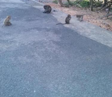 Cua Can Village Resort | Mai Phuong Resort Phu Quoc