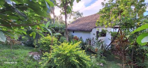 Nosy Komba House | Maison éco-lodge l'arbre du voyageur