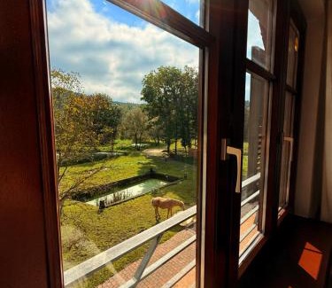 Soucht House | Maison d'hôtes en pleine nature avec chevaux
