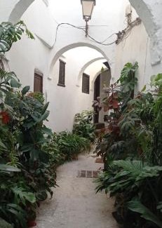 Medina of Tetouan House | Maison De La Lune