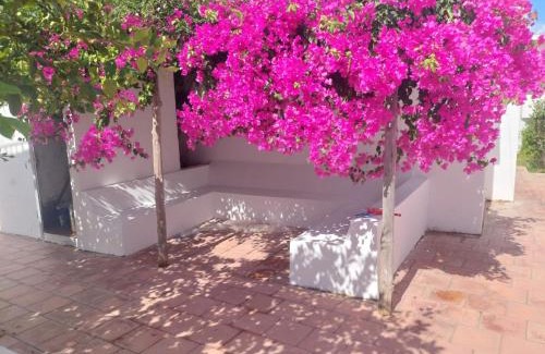 Eastern Hawaria Villa | Maison de vacances à Haouaria Tunisie