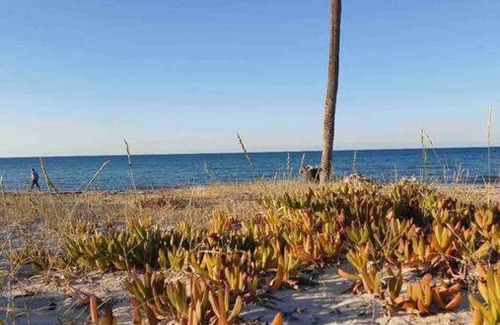 Mezraia Villa | Maison Mennana à 5 min à pieds de la plage Ulysse