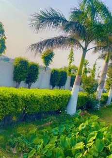 Panipat House | Malik farm house