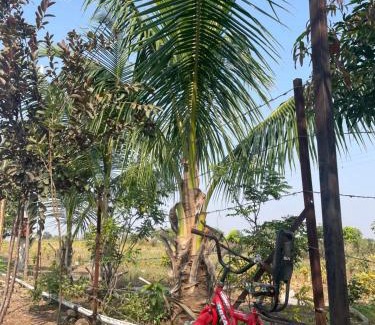 Barsi House | Mango Mist Farm Stay