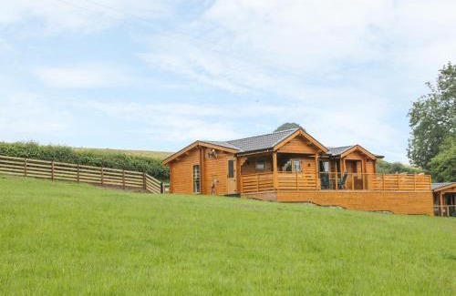Bettws Cedewain House | Manor Farm Lodges - Dragon Lodge