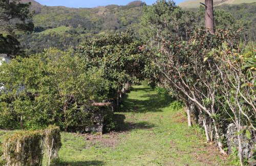 Urzelina Apartment | Mar D'Abstração