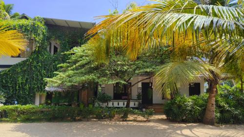 Mararikulam House | Marari Blue Waves