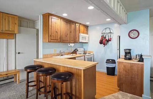 Steamboat Springs Apartment | Marvelous 2-bedroom apt in a duplex with WiFi in Steamboat Springs