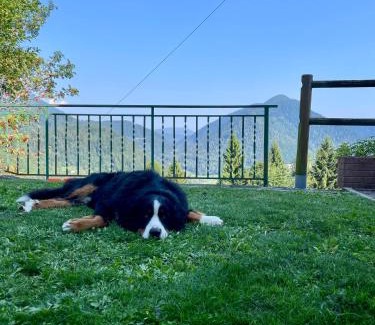Pieve Tesino House | Maso Patrizia - Il tuo rifugio nella natura