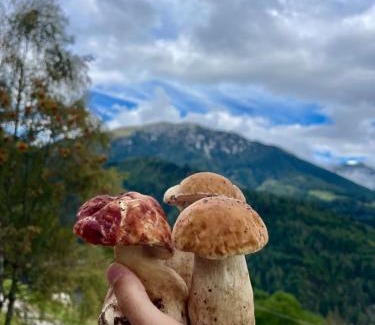 Pieve Tesino Apartment | Maso Patrizia - Rifugio caldo tra le vette