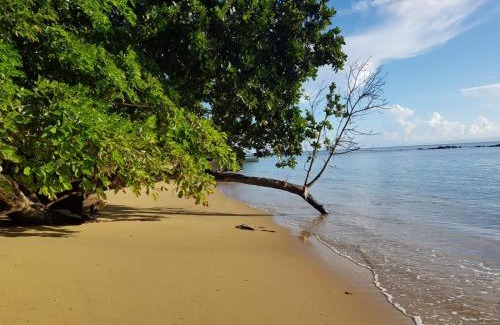 Sava Resort | Masoala bungalows