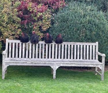 Witney House | Masons Cottage, an Idyllic retreat in an area of outstanding beauty, close to Blenheim Palace, Oxford & The Cotswolds