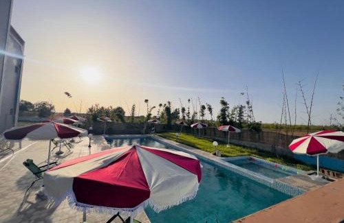 Ain Johra House | Master Farm Pool