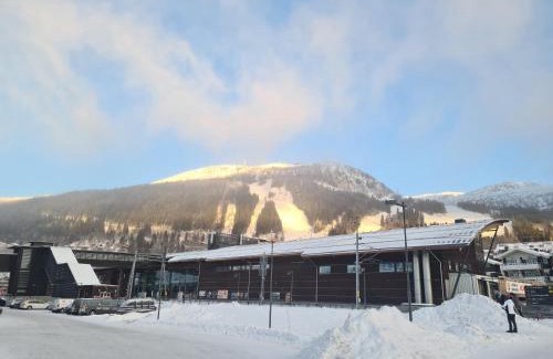 Ankarvattnet Villa | Mattmar vila