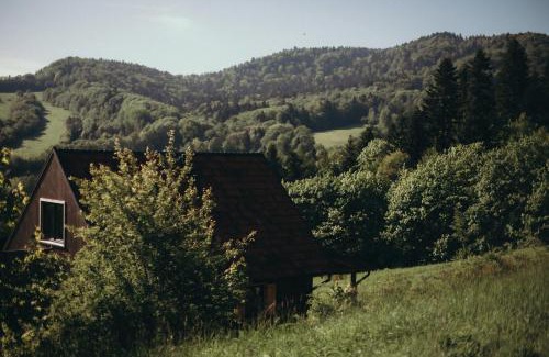 Baligrod House | Mech i brzoza