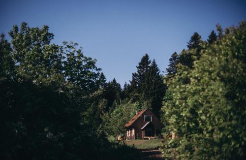 Baligrod House | Mech i brzoza